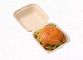 Boîte biodégradable à hamburger de pâte à papier de canne à sucre avec le couvercle relié