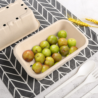 Boîte biodégradable à fruit de bagasse avec des trous pour le magasin de fruit de partie