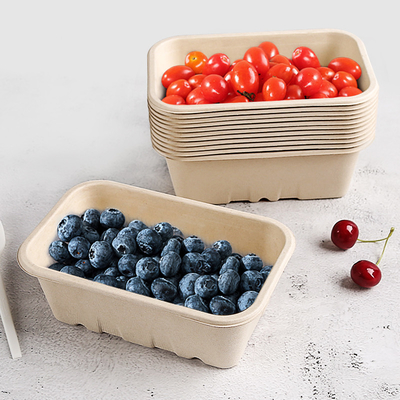 Boîte biodégradable à fruit de bagasse avec des trous pour le magasin de fruit de partie