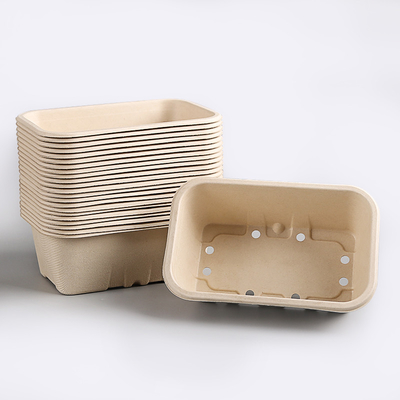 Boîte biodégradable à fruit de bagasse avec des trous pour le magasin de fruit de partie